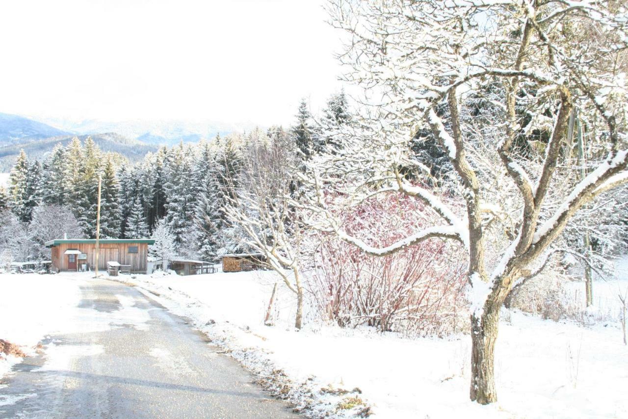 Ferienhaus Grohs Neumarkt in Steiermark Kültér fotó